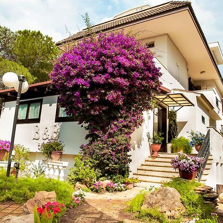 Bed & Breakfast Santa Fara Бари Екстериор снимка