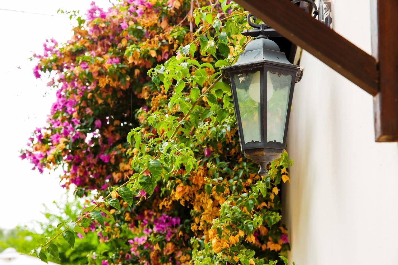 Bed & Breakfast Santa Fara Бари Екстериор снимка
